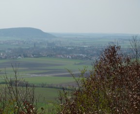 P1060004